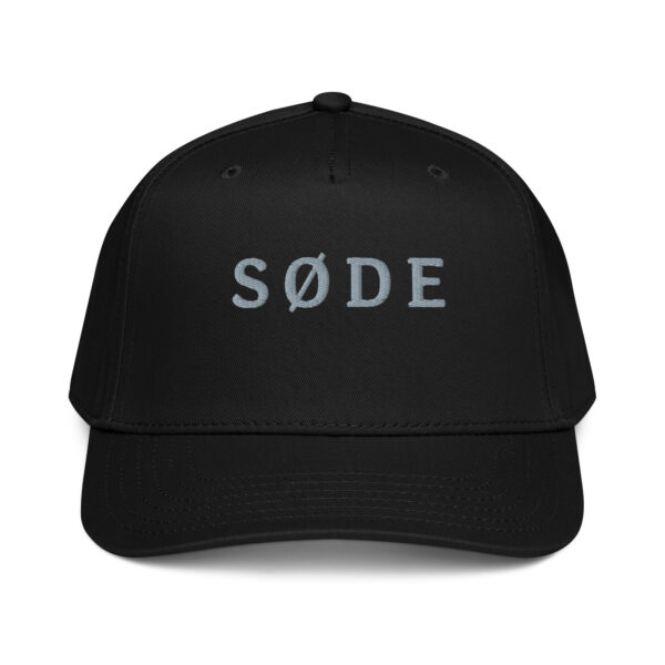 5-panel-mid-profile-baseball-cap-black-front-6a13ef1ebb13d.jpg SØDE. — Nordic Snapback