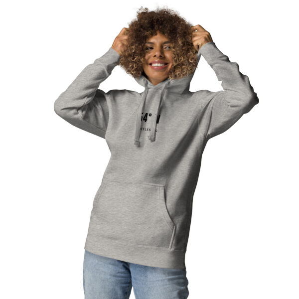 54° N. — Hanved Coordinates Hoodie