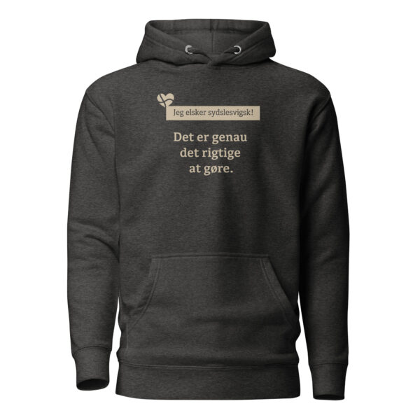 unisex-premium-pullover-hoodie-charcoal-heather-front-6a151a61de283.jpg Det er genau det rigtige at gøre. — Borderland Hoodie
