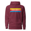 SYDSLESVIG. — Banner Hoodie mit Minderheitenfarben