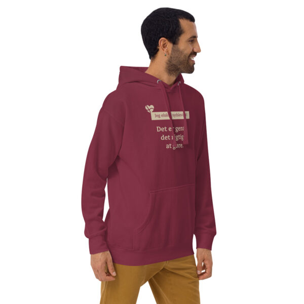 unisex-premium-pullover-hoodie-maroon-right-front-6a151a61dd859.jpg Det er genau det rigtige at gøre. — Borderland Hoodie