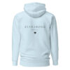 unisex-premium-pullover-hoodie-sky-blue-back-6a1449f4dae7e.jpg 54° — Flensborg Coordinates Hoodie