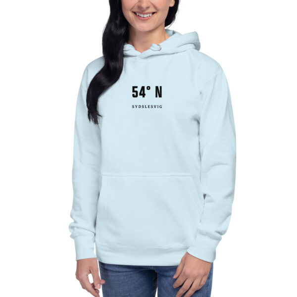 54° N. — Lyksborg Coordinates Hoodie
