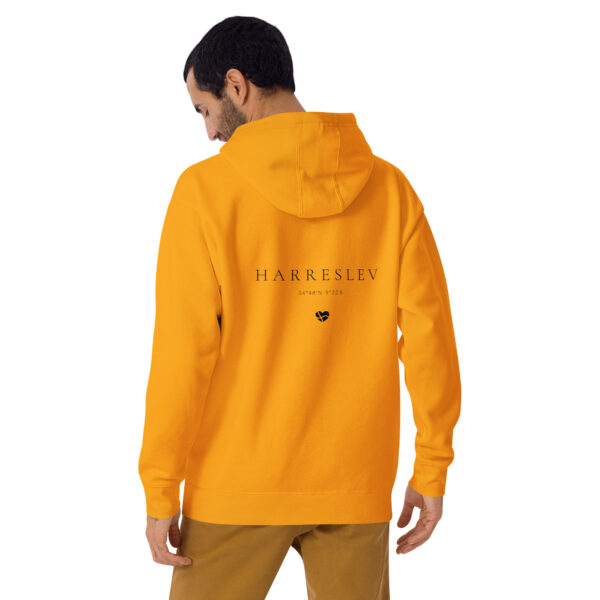 54° N. — Harreslev Coordinates Hoodie