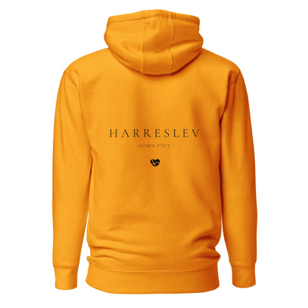 54° N. — Harreslev Coordinates Hoodie