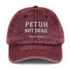 vintage-cap-maroon-front-6a132ac897d89.jpg PETUH. — Vintage Cap mit Hafenkante